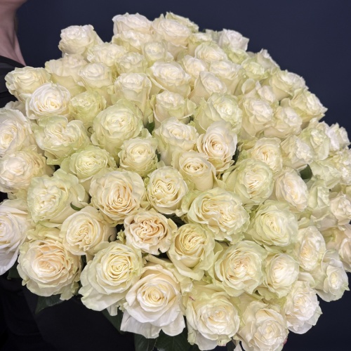 75 белых роз Мондиаль (Эквадор)