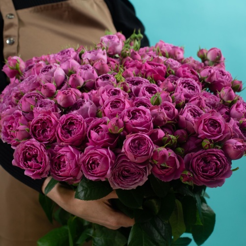 19 кустовых пионовидных фиолетовых роз (Россия)