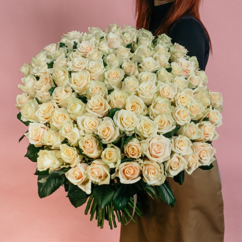 101 кремовая роза (Россия)