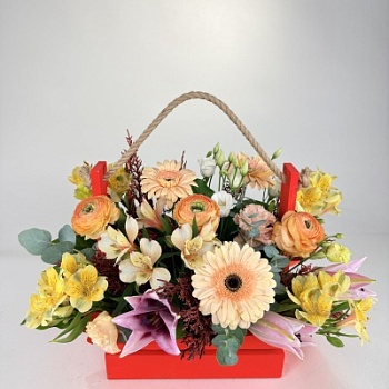 FullSizeRender (210)