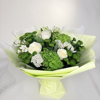 FullSizeRender (109)