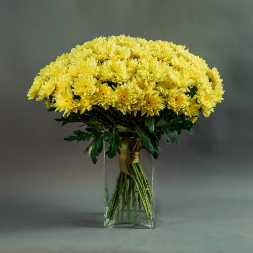 Букет из желтых хризантем (9 шт.)