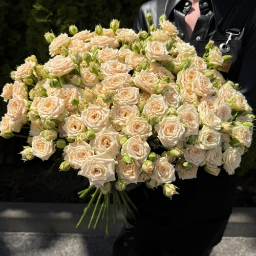 Роза кустовая кремовая 70 см (Россия)