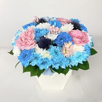 FullSizeRender (107)