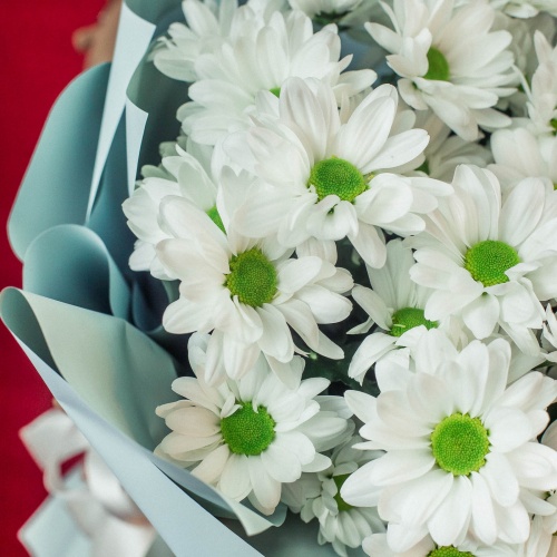 Букет из белых хризантем "Ромашка" (5 шт.)