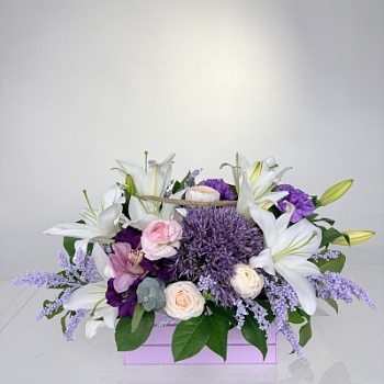 FullSizeRender (241)