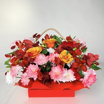 FullSizeRender (179)