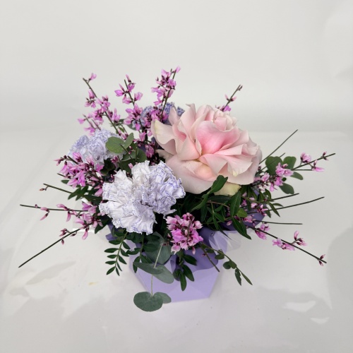 Композиция №798160