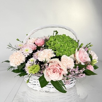 FullSizeRender (330)