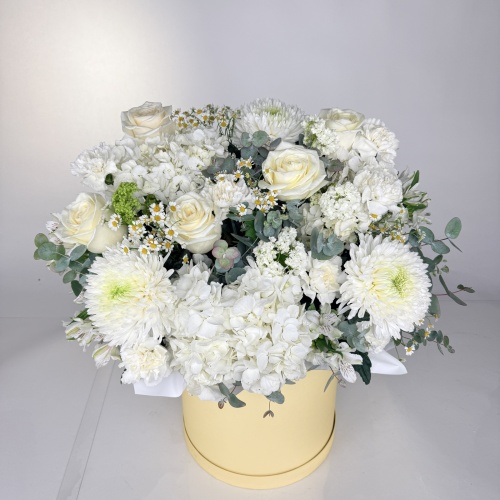 Композиция №979163