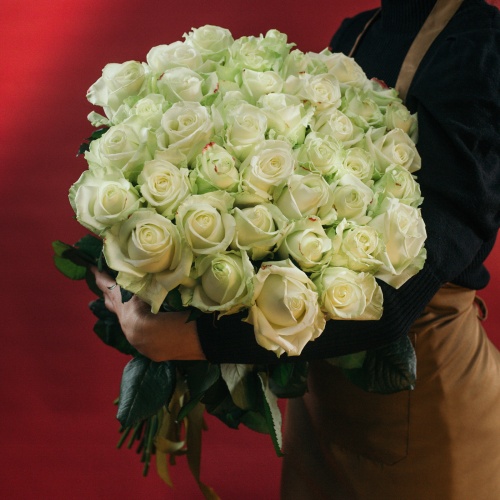 51 белая роза (Россия)