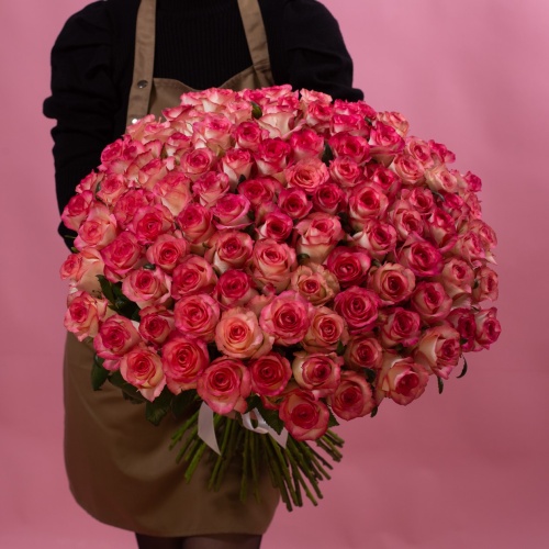 101 двухцветная роза (Россия)