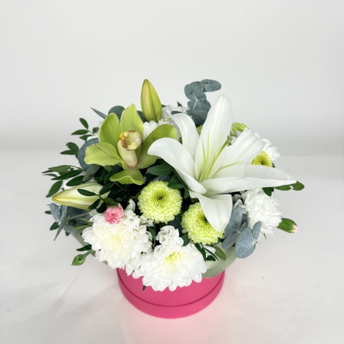 Композиция №784155