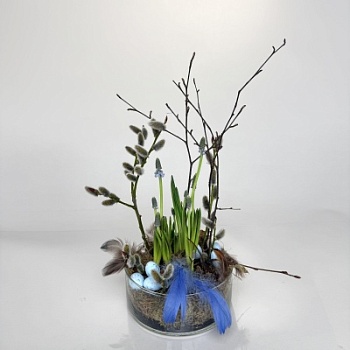 FullSizeRender (103)