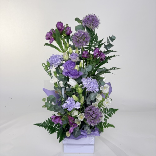 Композиция №751744