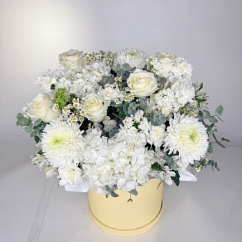 FullSizeRender (196)