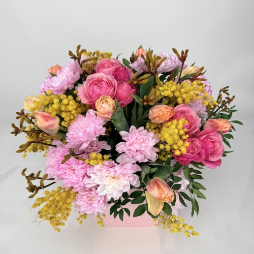 Композиция №775092