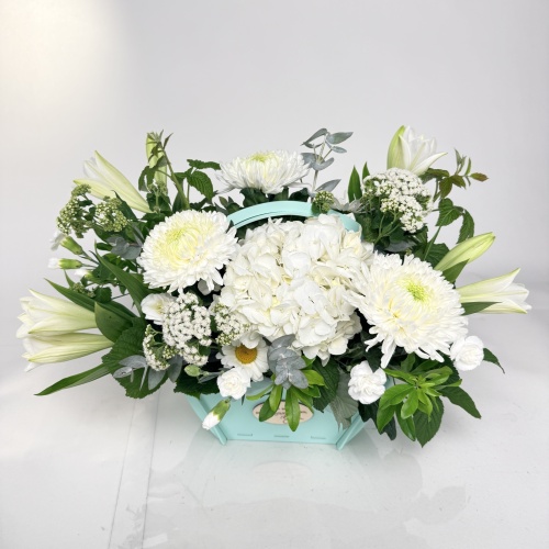 Композиция №817960
