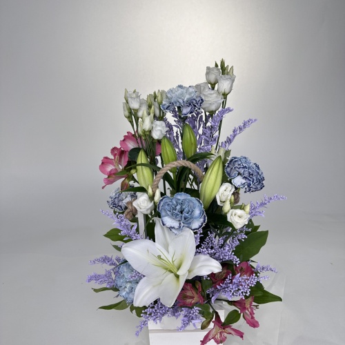 Композиция №961304