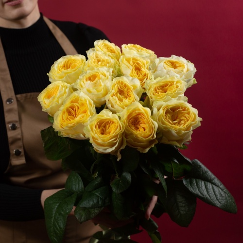 Роза пионовидная желтая 70 см (Россия)