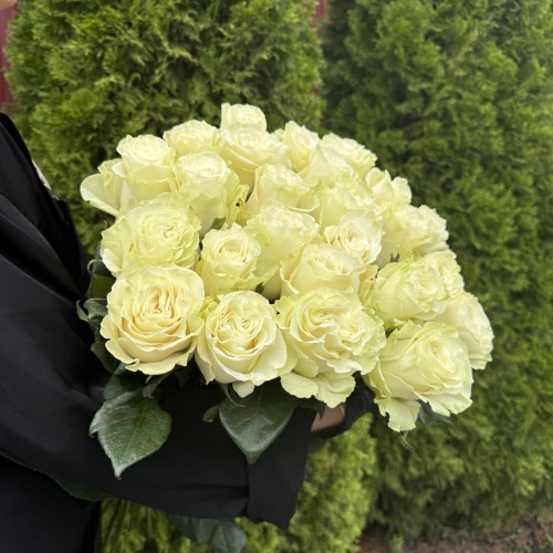 Роза Мондиаль 80 см (Эквадор)