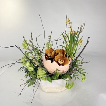 FullSizeRender - 2026-04-08T092128.329