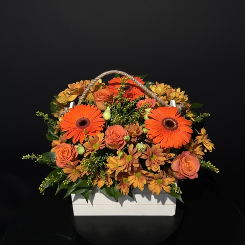 Композиция №927409