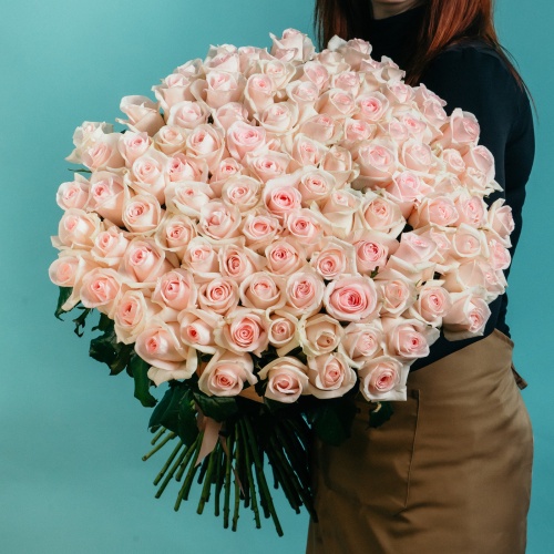 101 нежно-розовая роза (Россия)