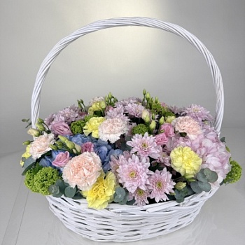 FullSizeRender - 2026-04-15T173444.923