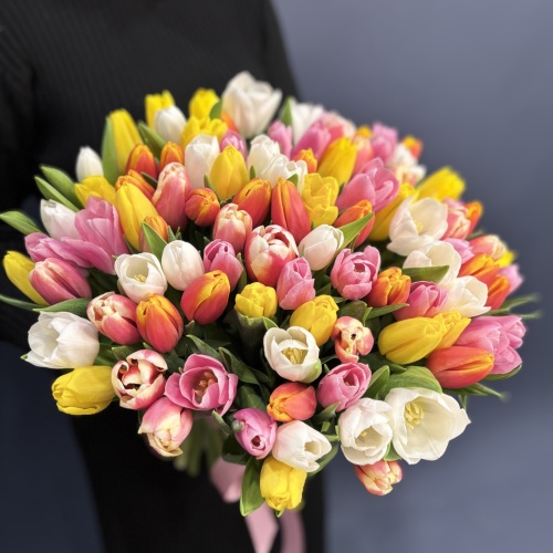 Букет из разноцветных тюльпанов (101 шт.)