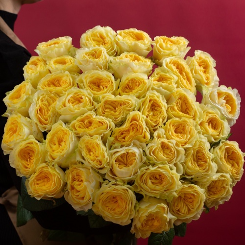 35 пионовидных роз (Россия)