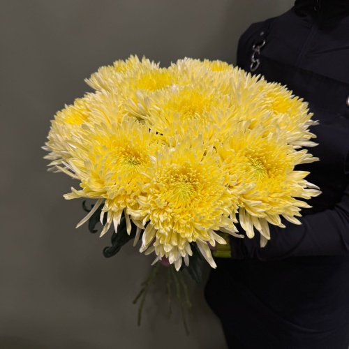 Букет из желтых одноголовых хризантем (9 шт.)
