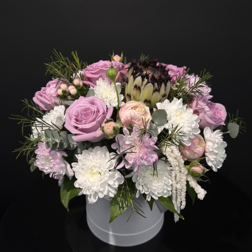 Композиция №731297