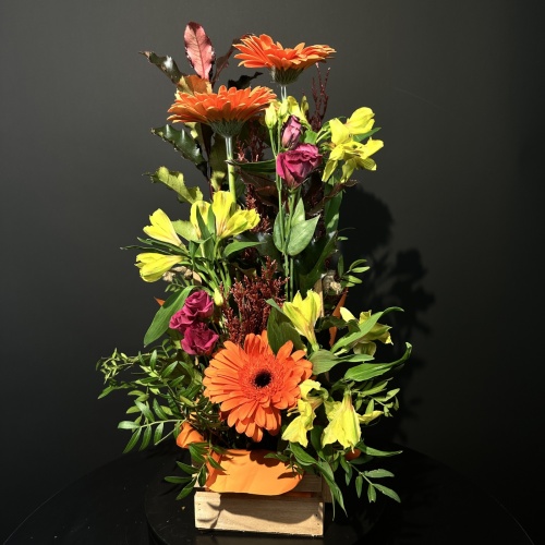 Композиция №802638