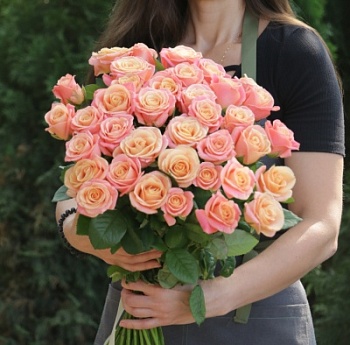 .Писс Пигги