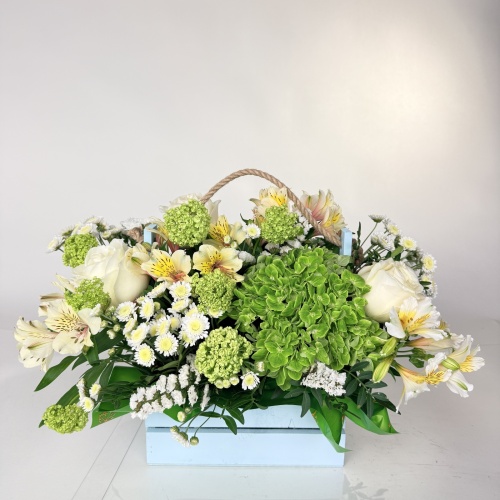 Композиция №955587