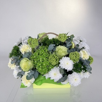 FullSizeRender (264)