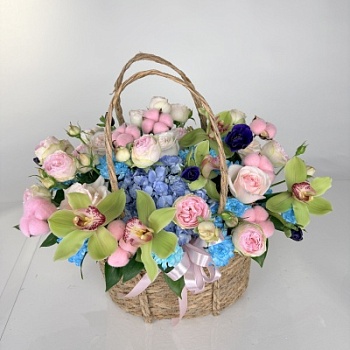 FullSizeRender (180)