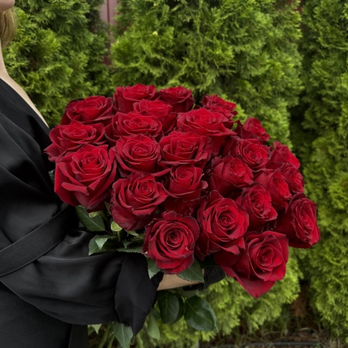 Роза Эксплорер 80 см (Эквадор)