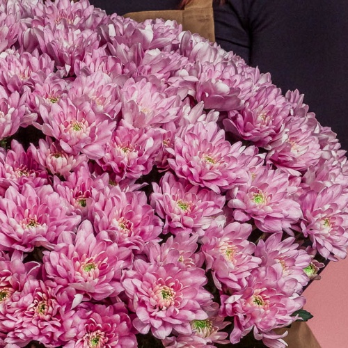 Букет из розовых хризантем (15 шт.)