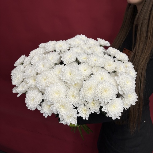 Букет из белых хризантем (15 шт.)