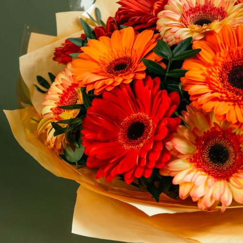 Букет из разноцветных гербер