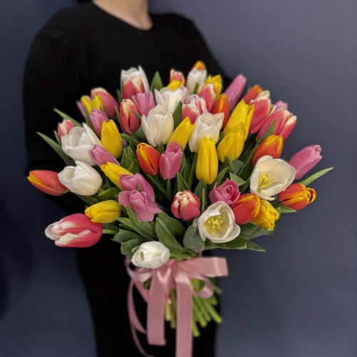 Букет из разноцветных тюльпанов (51 шт.)