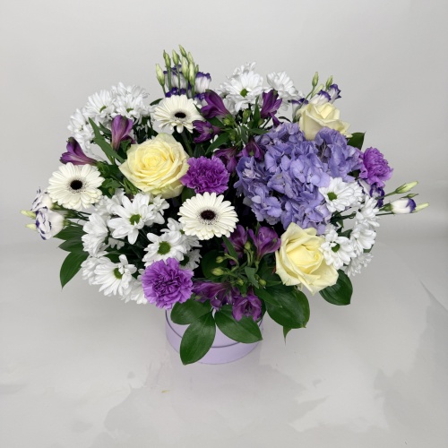 Композиция №750359