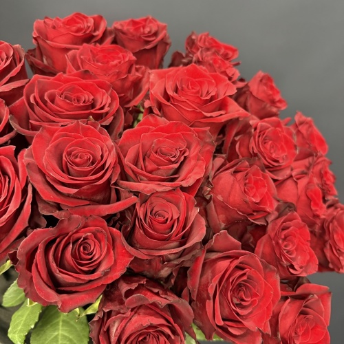25 красных роз Эксплорер (Эквадор)