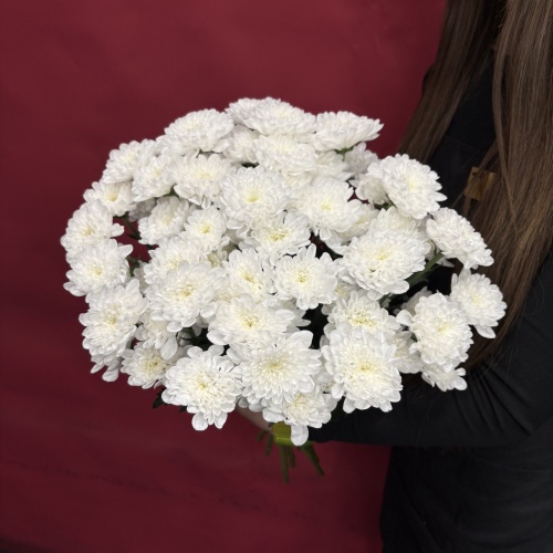 Букет из белых хризантем (9 шт.)