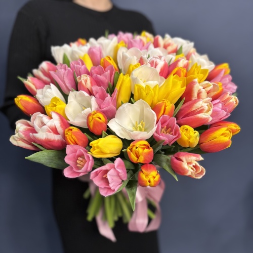 Букет из разноцветных тюльпанов (75 шт.)