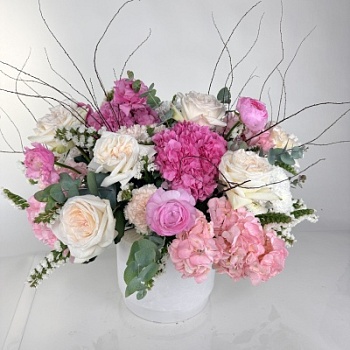 FullSizeRender - 2026-04-18T184520.895