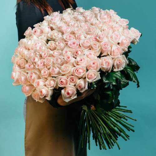 101 нежно-розовая роза (Россия)