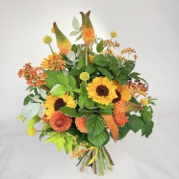 IMG_1937
